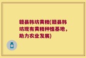 赣县韩坊黄精(赣县韩坊现有黄精种植基地，助力农业发展)