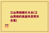 江山黄精图片大全(江山黄精的美丽风景照片合集)