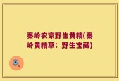 秦岭农家野生黄精(秦岭黄精草：野生宝藏)