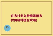 在农村怎么种植黄精农村黄精种植全攻略)