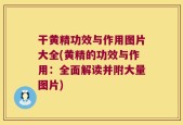 干黄精功效与作用图片大全(黄精的功效与作用：全面解读并附大量图片)