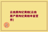 云南黑枸杞黄精(云南原产黑枸杞黄精丰富营养)