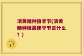 滇黄精种植季节(滇黄精种植最佳季节是什么？)
