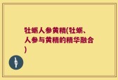 牡蛎人参黄精(牡蛎、人参与黄精的精华融合)