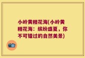 小岭黄精花海(小岭黄精花海：缤纷盛夏，你不可错过的自然美景)