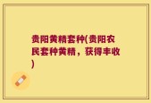 贵阳黄精套种(贵阳农民套种黄精，获得丰收)