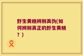 野生黄精辨别真伪(如何辨别真正的野生黄精？)