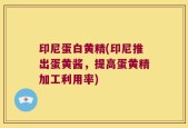 印尼蛋白黄精(印尼推出蛋黄酱，提高蛋黄精加工利用率)