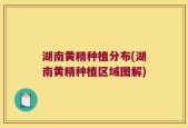 湖南黄精种植分布(湖南黄精种植区域图解)