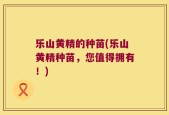 乐山黄精的种苗(乐山黄精种苗，您值得拥有！)