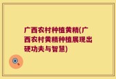 广西农村种植黄精(广西农村黄精种植展现出硬功夫与智慧)