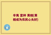辛夷 套种 黄精(黄精成为农民心头好)