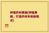 种殖药材黄精(种植黄精，打造药材丰收新模式)