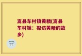 嵩县车村镇黄精(嵩县车村镇：探访黄精的故乡)