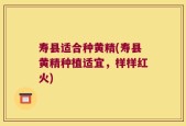 寿县适合种黄精(寿县黄精种植适宜，样样红火)