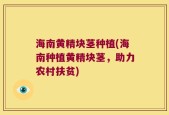 海南黄精块茎种植(海南种植黄精块茎，助力农村扶贫)