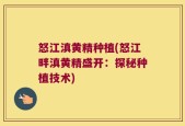 怒江滇黄精种植(怒江畔滇黄精盛开：探秘种植技术)