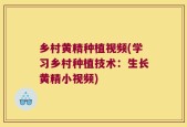 乡村黄精种植视频(学习乡村种植技术：生长黄精小视频)