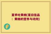 夏季吃黄精(夏日佳品：黄精的营养与功效)