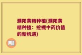 濮阳黄精种植(濮阳黄精种植：挖掘中药价值的新机遇)