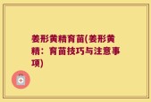 姜形黄精育苗(姜形黄精：育苗技巧与注意事项)