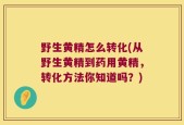 野生黄精怎么转化(从野生黄精到药用黄精，转化方法你知道吗？)