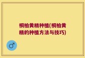 桐柏黄精种植(桐柏黄精的种植方法与技巧)