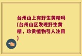 台州山上有野生黄精吗(台州山区发现野生黄精，珍贵植物引人注目)