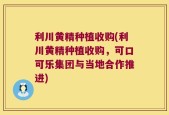 利川黄精种植收购(利川黄精种植收购，可口可乐集团与当地合作推进)