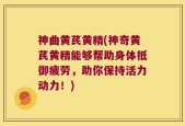 神曲黄芪黄精(神奇黄芪黄精能够帮助身体抵御疲劳，助你保持活力动力！)