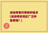湖南哪里的黄精种植多(湖南哪些地区广泛种植黄精？)