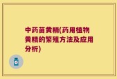 中药苗黄精(药用植物黄精的繁殖方法及应用分析)