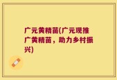 广元黄精苗(广元现推广黄精苗，助力乡村振兴)