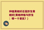 种植黄精好还是野生黄精好(黄精种植与野生：哪一个更优？)