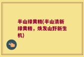 半山绿黄精(半山清新绿黄精，焕发山野新生机)