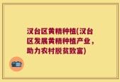 汉台区黄精种植(汉台区发展黄精种植产业，助力农村脱贫致富)