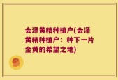 会泽黄精种植户(会泽黄精种植户：种下一片金黄的希望之地)