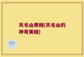 天毛山黄精(天毛山的神奇黄精)