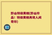野山特级黄精(野山珍品！特级黄精再现人间奇珍)