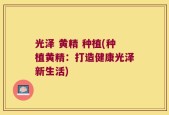 光泽 黄精 种植(种植黄精：打造健康光泽新生活)