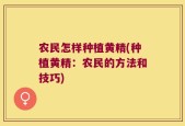 农民怎样种植黄精(种植黄精：农民的方法和技巧)