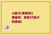 st因子(黄精灵)(黄精灵：探索ST因子的奥秘)