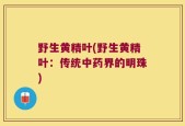 野生黄精叶(野生黄精叶：传统中药界的明珠)