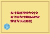 农村黄精视频大全(全面介绍农村黄精品种及栽培方法及用途)