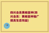 四川自贡黄精苗种(四川自贡：黄精苗种推广提高生态效益)