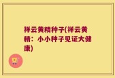 祥云黄精种子(祥云黄精：小小种子见证大健康)