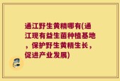 通江野生黄精哪有(通江现有益生菌种植基地，保护野生黄精生长，促进产业发展)