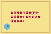 如何种野生黄精(野外采摘黄精：解析方法及注意事项)