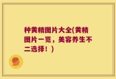 种黄精图片大全(黄精图片一览，美容养生不二选择！)