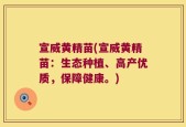 宣威黄精苗(宣威黄精苗：生态种植、高产优质，保障健康。)